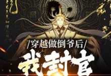 小说《穿越做倒爷后,我封官加爵了》章节免费阅读-酷悦文学