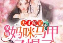 小说《天才萌宝：爹地，妈咪马甲又爆了》在线章节阅读-酷悦文学