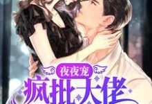 夜夜宠,疯批大佬霸道撩妻小说无弹窗阅读的网站推荐-酷悦文学