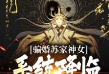 《骗婚苏家神女，系统降临上古神瞳》小说大结局免费试读 南宫辰小说-酷悦文学