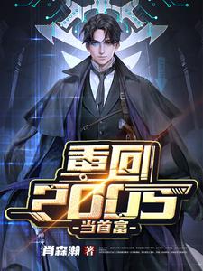 王首富徐海书沙巴克海书是哪本书的主角？寻找重回2005当首富免费阅读