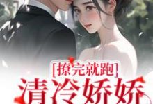 完结版《撩完就跑，清冷娇娇不想负责》章节目录在线阅读-酷悦文学