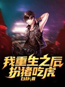 主角叶辰小说完结版在线阅读，我重生之后扮猪吃虎免费看