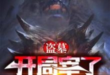 盗墓：开局宰了怒晴鸡小说无弹窗阅读的网站推荐-酷悦文学