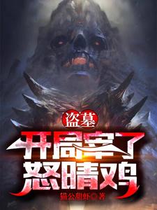 盗墓：开局宰了怒晴鸡小说无弹窗阅读的网站推荐