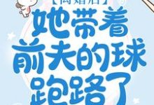 主角 林湘程修齐小说离婚后,她带着前夫的球跑路了免费阅读-酷悦文学