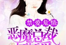 顾婉雪慕轩宸慕北城是哪本书的主角？寻找恶魔总裁坏坏爱免费阅读-酷悦文学