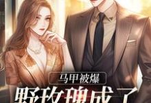 寻找能够免费阅读马甲被爆，野玫瑰成了大佬掌中娇小说的平台-酷悦文学