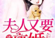 陆宁宁霍闻声傅景行乔幽小说叫什么（霍少，夫人又要离婚免费阅读）-酷悦文学