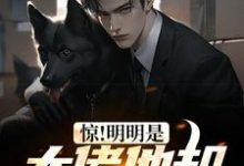 小说《惊!明明是大佬他却酷爱炸鱼》章节免费阅读-酷悦文学