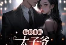 求破镜重圆：太子爷他太霸道小说的全文免费阅读链接-酷悦文学