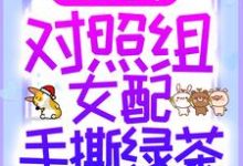 寻找重生七零:对照组女配手撕绿茶小说的最新更新章节-酷悦文学