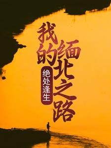 已完结小说《绝处逢生：我的缅北之路》章节免费阅读