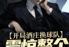 开局酒庄换球队，震惊整个NBA小说完结版章节免费阅读-酷悦文学