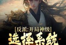 小说《反派:开局神级选择系统,我一路狂飙》章节免费阅读-酷悦文学