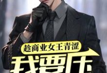 趁商业女王青涩，我要压她一筹！小说，趁商业女王青涩，我要压她一筹！章节在线阅读-酷悦文学