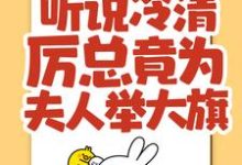 《听说冷清厉总竟为夫人举大旗!》小说主角林晚晚厉司寒章节章节免费在线阅读-酷悦文学