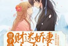 世子追妻：财迷娇妻超难哄小说的免费阅读版本在哪里可以找到？-酷悦文学