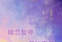 完结版《暗恋暂停，开始恋爱》章节阅读-酷悦文学