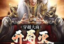 穿越大商，开局灭十万叛军殷寿王妃，穿越大商，开局灭十万叛军章节在线阅读-酷悦文学