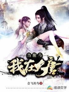 我在大唐当驸马（叶辰李丽质李世民薛仁贵）在线免费阅读