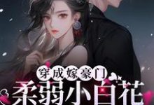 秋漫漫司濯小说穿成嫁豪门，柔弱小白花被大佬拿捏在线阅读-酷悦文学