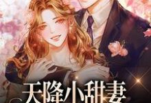 天降小甜妻:偏执大佬抱着哄(徐蓁沈凌风)在线免费阅读-酷悦文学