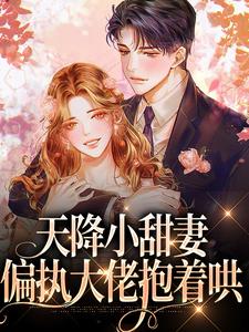 天降小甜妻：偏执大佬抱着哄（徐蓁沈凌风）在线免费阅读