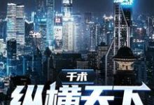 千术：纵横天下小说的所有章节都能在哪里免费读到？-酷悦文学