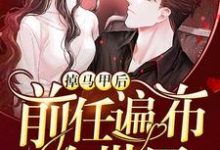 掉马甲后前任遍布全世界小说的免费电子版在哪里可以下载或阅读?-酷悦文学