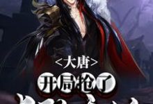 寻找能够免费阅读大唐：开局抢了长孙无垢小说的平台-酷悦文学