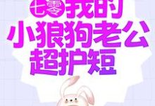 七零：我的小狼狗老公超护短小说的免费阅读版本在哪里可以找到？-酷悦文学