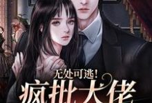 完结版《无处可逃！疯批大佬强制爱》章节阅读-酷悦文学