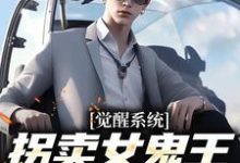 觉醒系统：拐卖女鬼王就变无敌小说，觉醒系统：拐卖女鬼王就变无敌江小白-酷悦文学