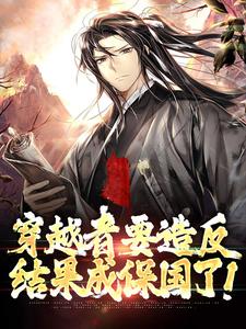 元子明小说穿越者要造反，结果成保国了！在线阅读章节