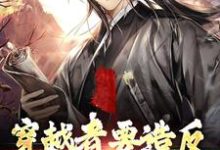 穿越者要造反，结果成保国了！元子明小说大结局免费试读-酷悦文学