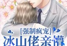 完结版《强制疯宠，冰山佬亲懵娇软野玫瑰》章节阅读-酷悦文学