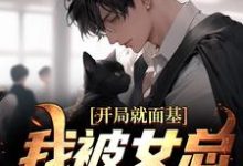开局就面基，我被女总裁甩了章节免费在线阅读，叶青宋瑾瑶完结版-酷悦文学