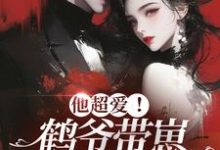 已完结小说《他超爱!鹤爷带崽上门求名分》章节免费阅读-酷悦文学