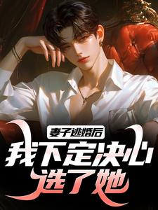 妻子逃婚后，我下定决心选了她叶陵苏颜小说免费阅读