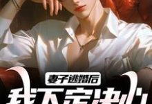 妻子逃婚后，我下定决心选了她小说，妻子逃婚后，我下定决心选了她在线阅读-酷悦文学