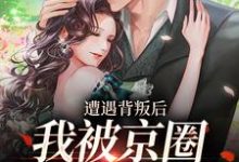 小说《遭遇背叛后，我被京圈大佬捡回家》在线章节阅读-酷悦文学