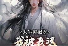 哪里能找到人生模拟器：我被老婆逼成世间极境小说的最新更新和免费章节？-酷悦文学