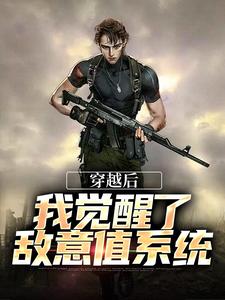 穿越后，我觉醒了敌意值系统小说完结版章节免费阅读