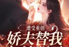 无删减版《遭受重创，娇夫替我扫清阴霾》免费阅读-酷悦文学
