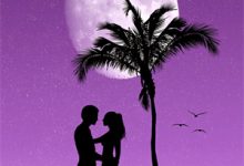 男女主人公叫宋唯一傅廷岳的小说免费资源-酷悦文学