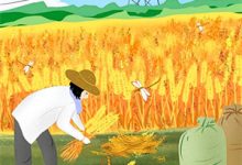 醉里经年一梦，身如不系之舟这本小说完结了吗？免费查看最新章节-酷悦文学